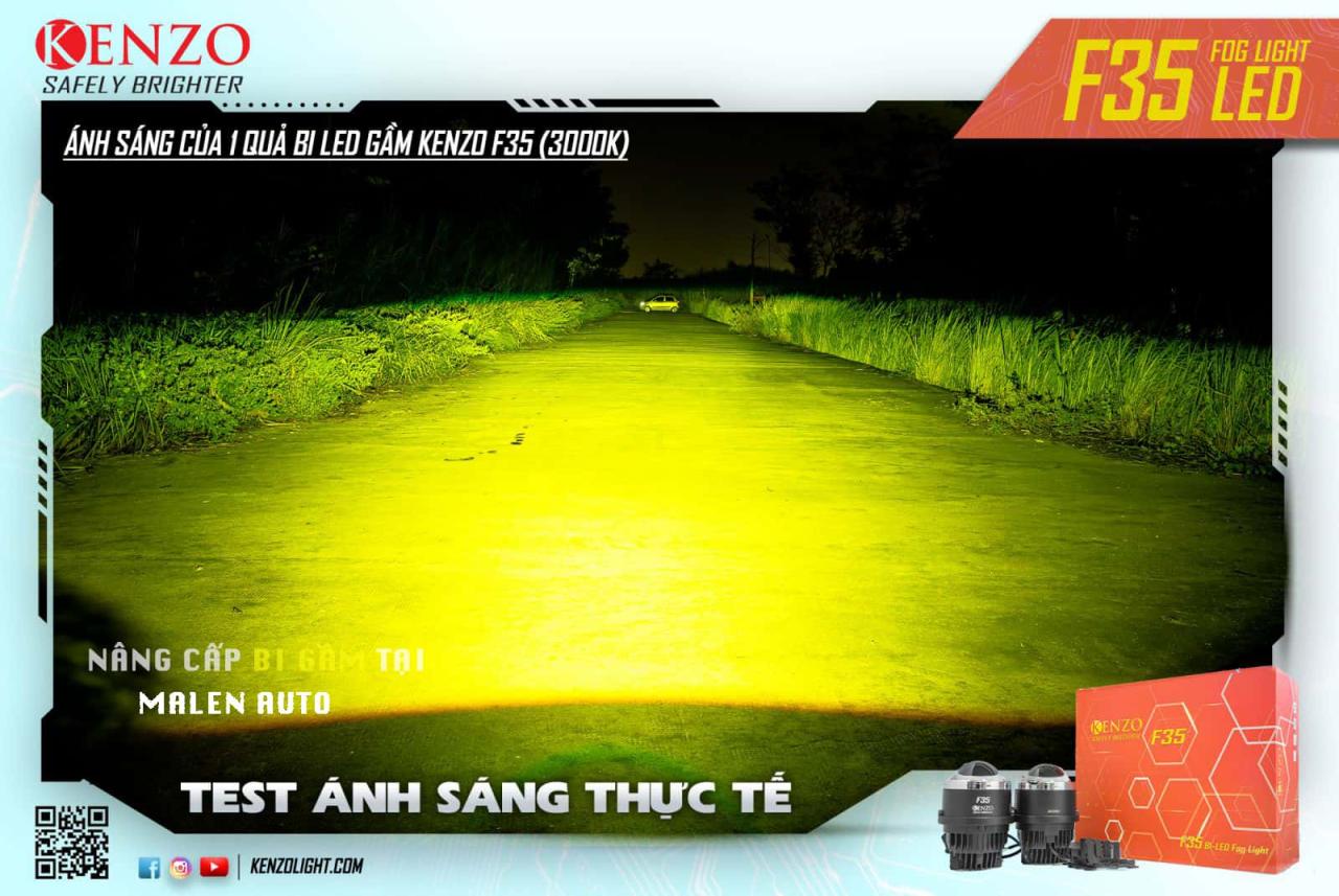 anh sang pha tren bi gam kenzo f35